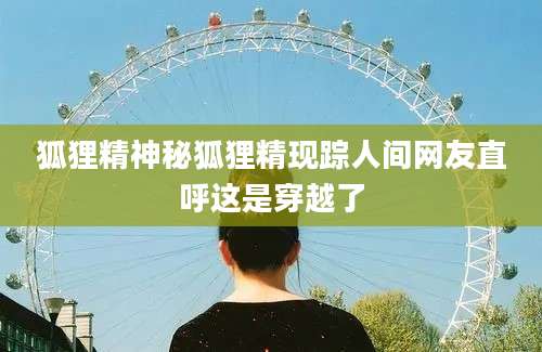 狐狸精神秘狐狸精现踪人间网友直呼这是穿越了