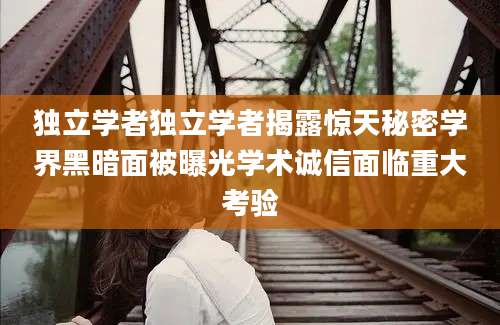 独立学者独立学者揭露惊天秘密学界黑暗面被曝光学术诚信面临重大考验
