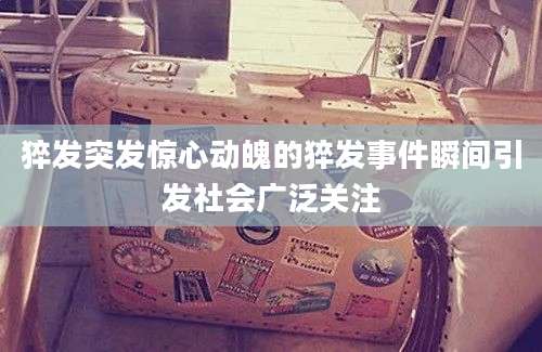 猝发突发惊心动魄的猝发事件瞬间引发社会广泛关注