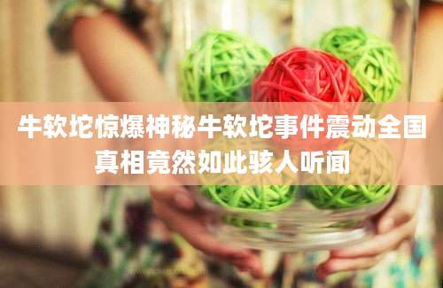 牛软坨惊爆神秘牛软坨事件震动全国真相竟然如此骇人听闻