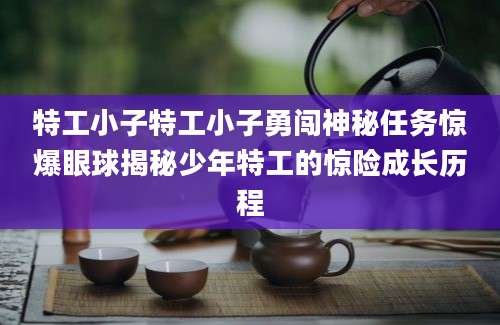 特工小子特工小子勇闯神秘任务惊爆眼球揭秘少年特工的惊险成长历程