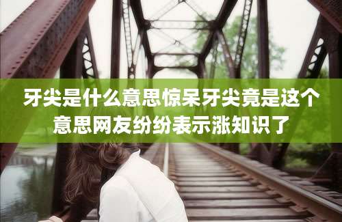 牙尖是什么意思惊呆牙尖竟是这个意思网友纷纷表示涨知识了
