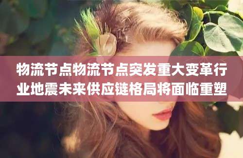 物流节点物流节点突发重大变革行业地震未来供应链格局将面临重塑