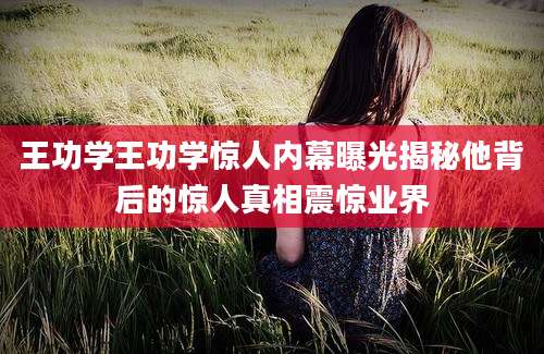 王功学王功学惊人内幕曝光揭秘他背后的惊人真相震惊业界