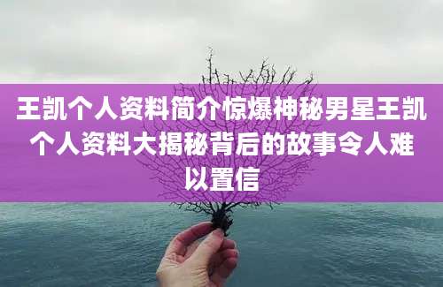 王凯个人资料简介惊爆神秘男星王凯个人资料大揭秘背后的故事令人难以置信