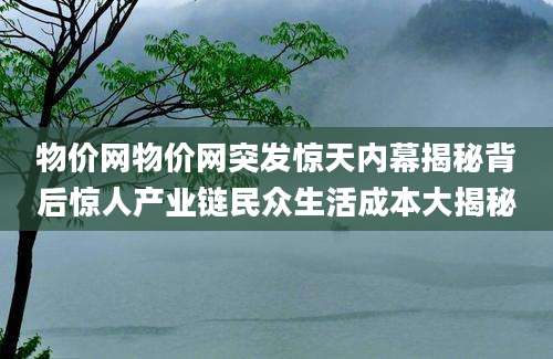 物价网物价网突发惊天内幕揭秘背后惊人产业链民众生活成本大揭秘