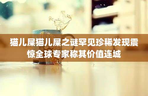 猫儿屎猫儿屎之谜罕见珍稀发现震惊全球专家称其价值连城