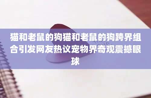 猫和老鼠的狗猫和老鼠的狗跨界组合引发网友热议宠物界奇观震撼眼球