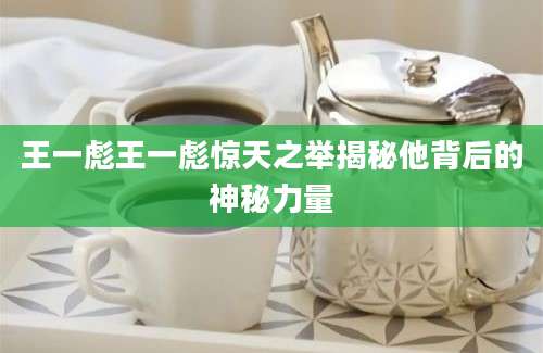 王一彪王一彪惊天之举揭秘他背后的神秘力量
