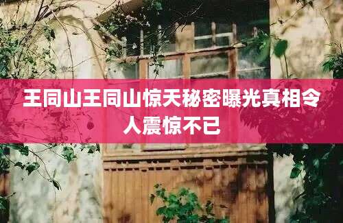 王同山王同山惊天秘密曝光真相令人震惊不已