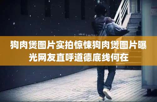 狗肉煲图片实拍惊悚狗肉煲图片曝光网友直呼道德底线何在