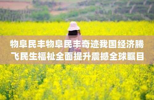 物阜民丰物阜民丰奇迹我国经济腾飞民生福祉全面提升震撼全球瞩目