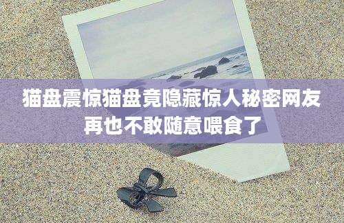 猫盘震惊猫盘竟隐藏惊人秘密网友再也不敢随意喂食了