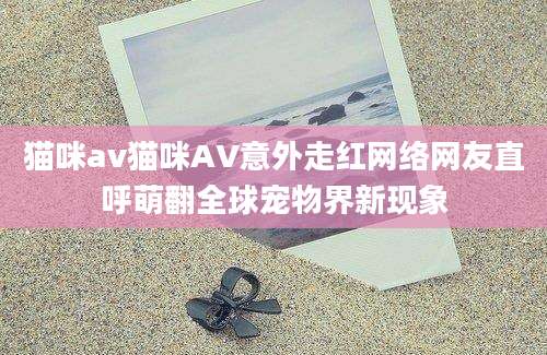 猫咪av猫咪AV意外走红网络网友直呼萌翻全球宠物界新现象