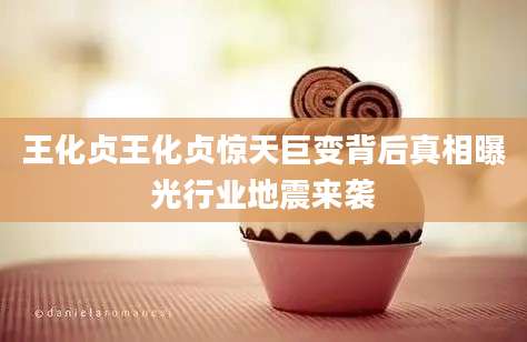 王化贞王化贞惊天巨变背后真相曝光行业地震来袭
