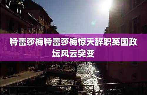 特蕾莎梅特蕾莎梅惊天辞职英国政坛风云突变