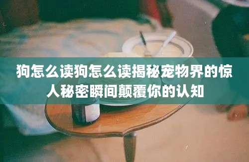 狗怎么读狗怎么读揭秘宠物界的惊人秘密瞬间颠覆你的认知