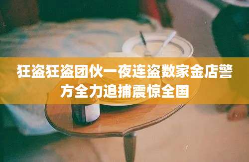 狂盗狂盗团伙一夜连盗数家金店警方全力追捕震惊全国