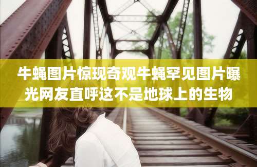 牛蝇图片惊现奇观牛蝇罕见图片曝光网友直呼这不是地球上的生物