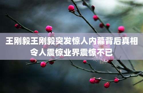 王刚毅王刚毅突发惊人内幕背后真相令人震惊业界震惊不已