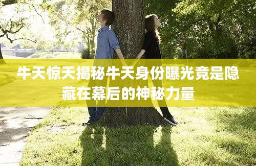 牛天惊天揭秘牛天身份曝光竟是隐藏在幕后的神秘力量