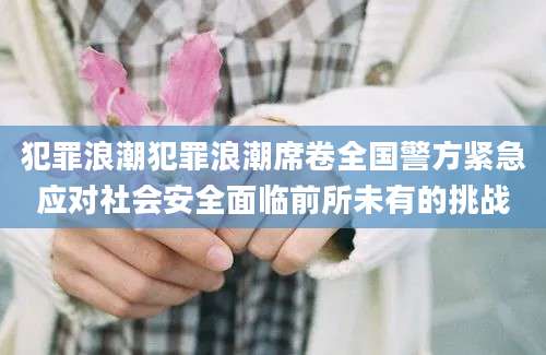 犯罪浪潮犯罪浪潮席卷全国警方紧急应对社会安全面临前所未有的挑战