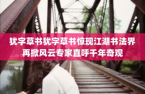 犹字草书犹字草书惊现江湖书法界再掀风云专家直呼千年奇观