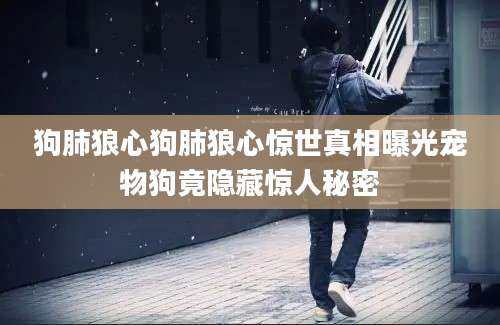 狗肺狼心狗肺狼心惊世真相曝光宠物狗竟隐藏惊人秘密