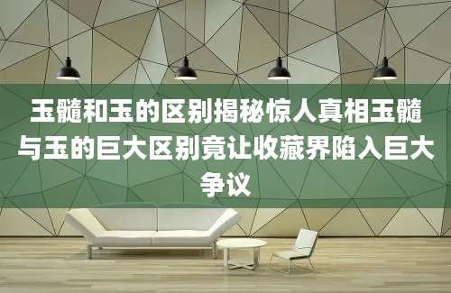 玉髓和玉的区别揭秘惊人真相玉髓与玉的巨大区别竟让收藏界陷入巨大争议