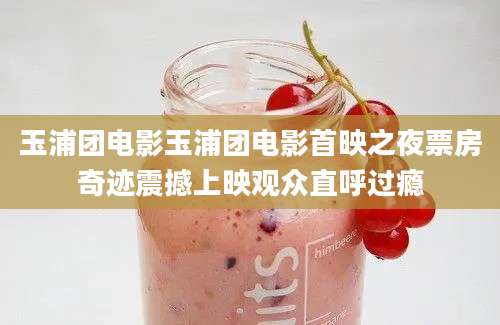玉浦团电影玉浦团电影首映之夜票房奇迹震撼上映观众直呼过瘾
