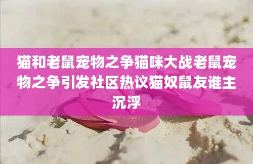 猫和老鼠宠物之争猫咪大战老鼠宠物之争引发社区热议猫奴鼠友谁主沉浮