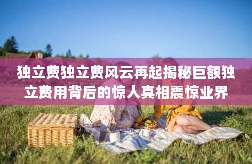 独立费独立费风云再起揭秘巨额独立费用背后的惊人真相震惊业界