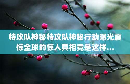 特攻队神秘特攻队神秘行动曝光震惊全球的惊人真相竟是这样...