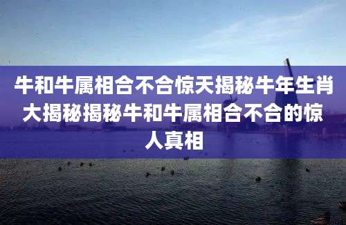 牛和牛属相合不合惊天揭秘牛年生肖大揭秘揭秘牛和牛属相合不合的惊人真相