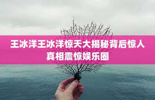 王冰洋王冰洋惊天大揭秘背后惊人真相震惊娱乐圈