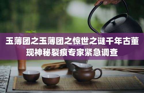 玉薄团之玉薄团之惊世之谜千年古董现神秘裂痕专家紧急调查