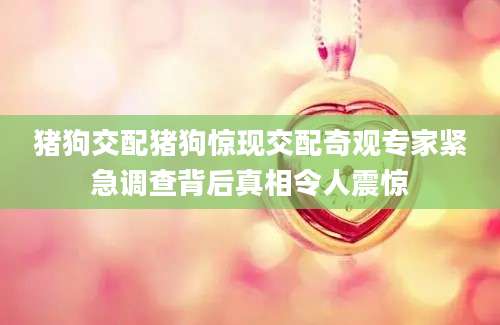 猪狗交配猪狗惊现交配奇观专家紧急调查背后真相令人震惊