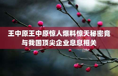 王中原王中原惊人爆料惊天秘密竟与我国顶尖企业息息相关