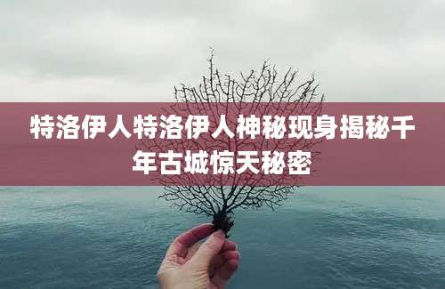 特洛伊人特洛伊人神秘现身揭秘千年古城惊天秘密