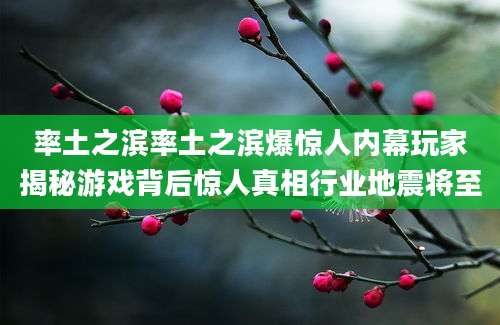 率土之滨率土之滨爆惊人内幕玩家揭秘游戏背后惊人真相行业地震将至