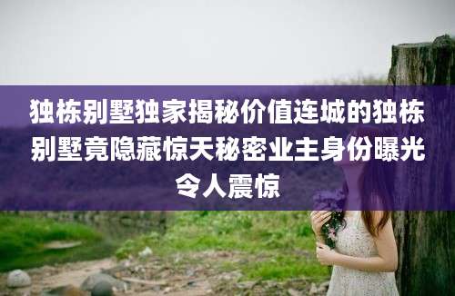 独栋别墅独家揭秘价值连城的独栋别墅竟隐藏惊天秘密业主身份曝光令人震惊