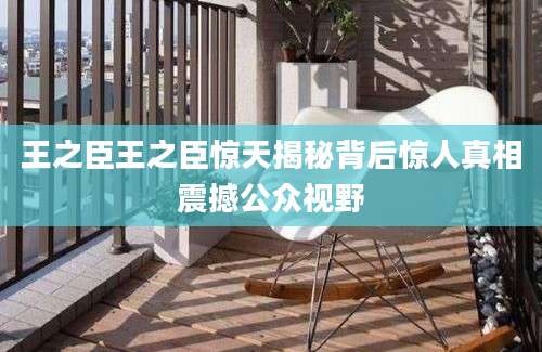 王之臣王之臣惊天揭秘背后惊人真相震撼公众视野