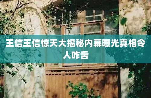 王信王信惊天大揭秘内幕曝光真相令人咋舌