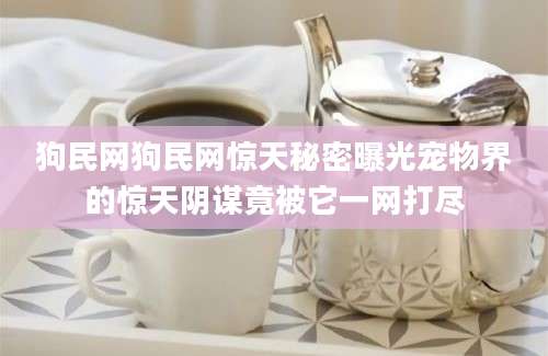 狗民网狗民网惊天秘密曝光宠物界的惊天阴谋竟被它一网打尽