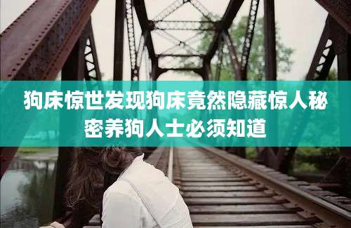 狗床惊世发现狗床竟然隐藏惊人秘密养狗人士必须知道