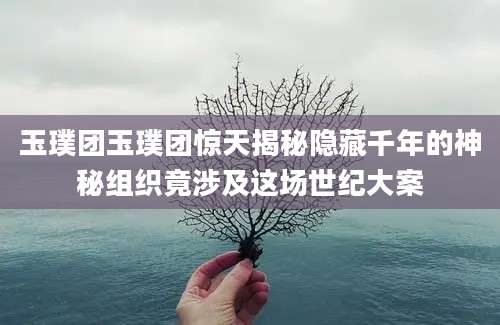 玉璞团玉璞团惊天揭秘隐藏千年的神秘组织竟涉及这场世纪大案