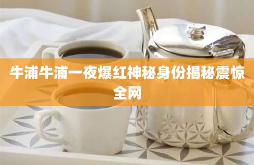 牛浦牛浦一夜爆红神秘身份揭秘震惊全网