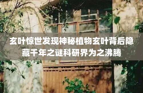 玄叶惊世发现神秘植物玄叶背后隐藏千年之谜科研界为之沸腾