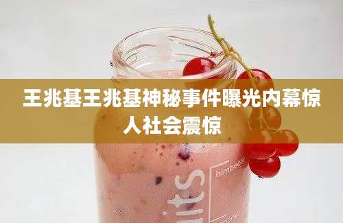 王兆基王兆基神秘事件曝光内幕惊人社会震惊