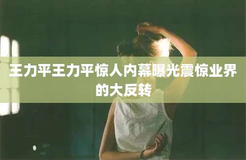 王力平王力平惊人内幕曝光震惊业界的大反转